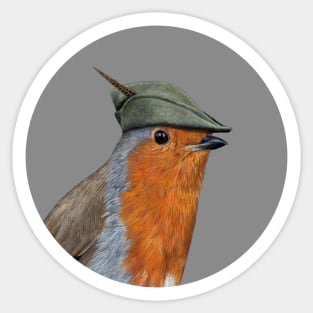 Robin Sticker